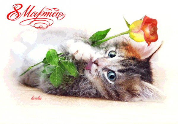 С 8 Марта!