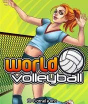 world volleyball