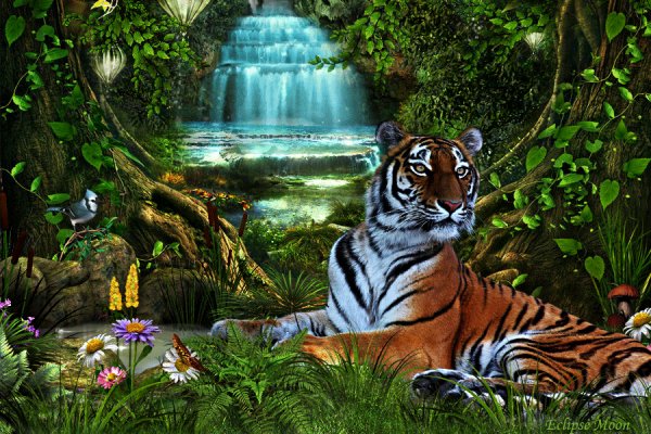 tiger at the waterfall