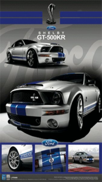 SHELBY GT 500