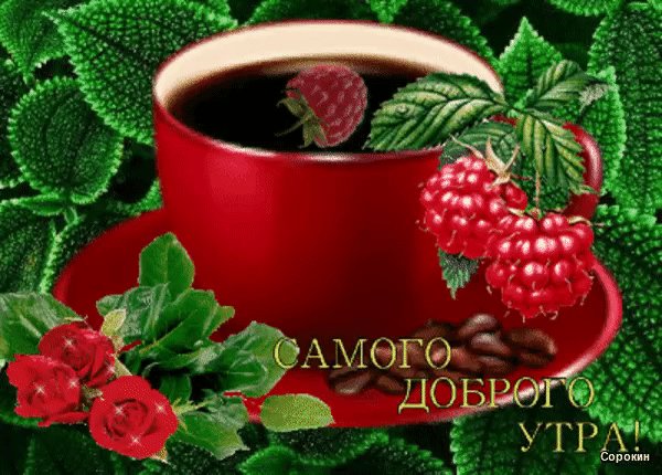 IMG 20170813 074420 19