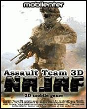 assault team 3d