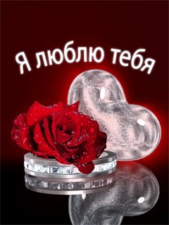 Я люблю тебя