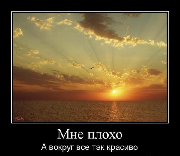 Мне плохо, а вокруг так красиво