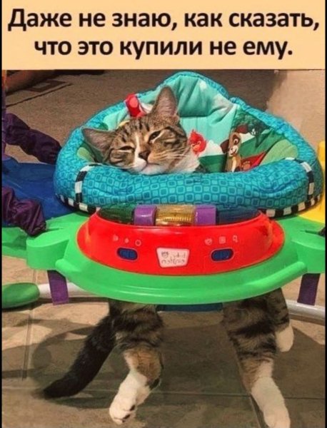 FB IMG 1777225955655