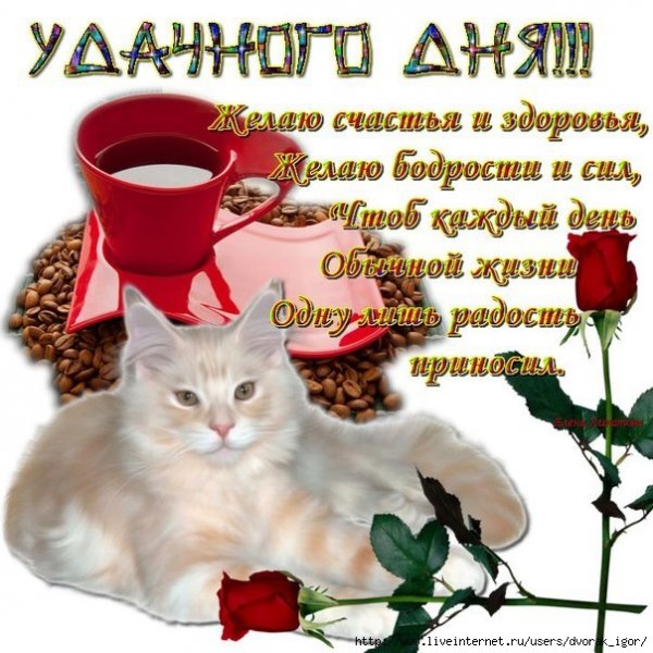 IMG 20190122 569076