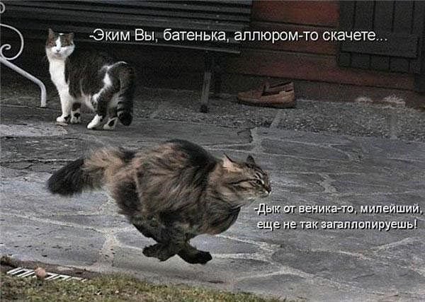 getImage3411