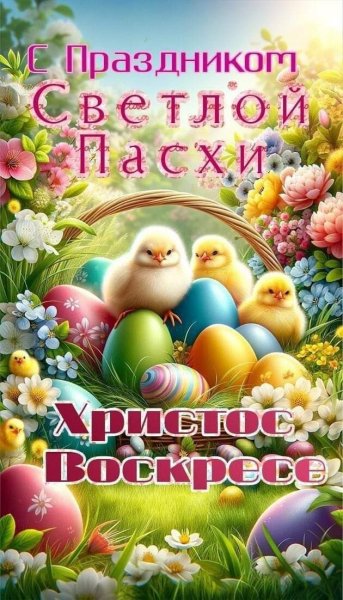FB IMG 1714924912762
