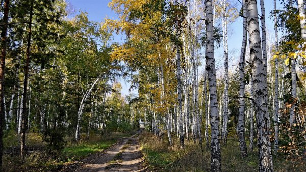 Красоты родной природы-3 54