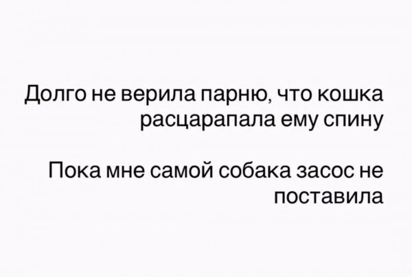 file_101434342