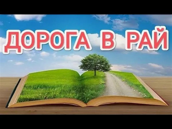Чеширко. Дорога в рай