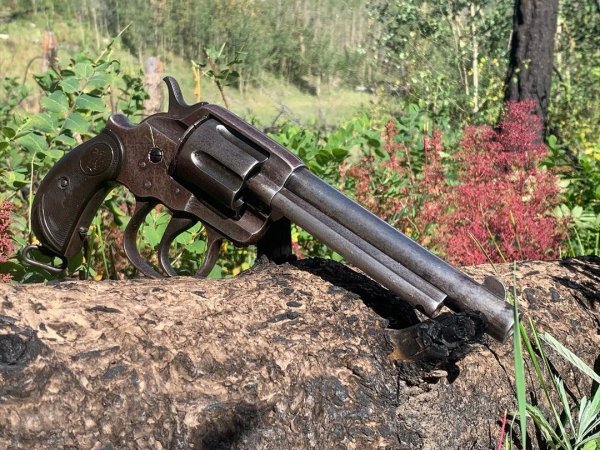 COLT