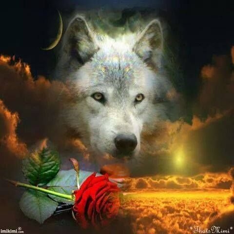 Одиночество