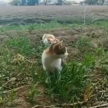 Внезапно)