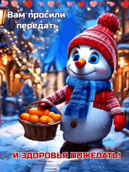IMG 20260115 110024