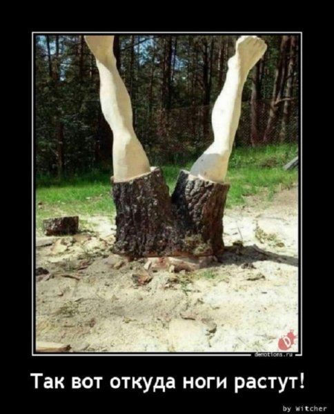 Так вот откуда ноги растут