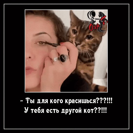 IMG 20211104 231456