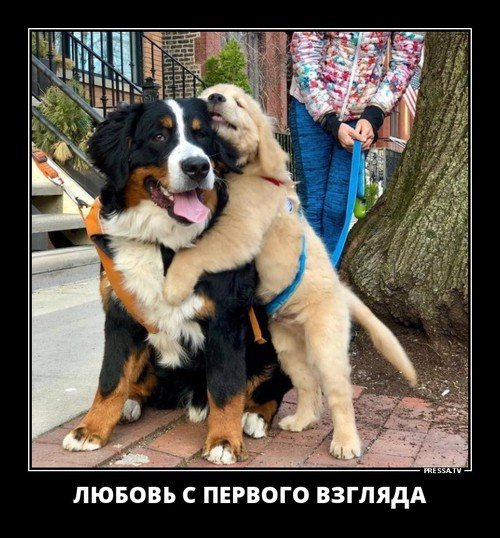 file_78500987