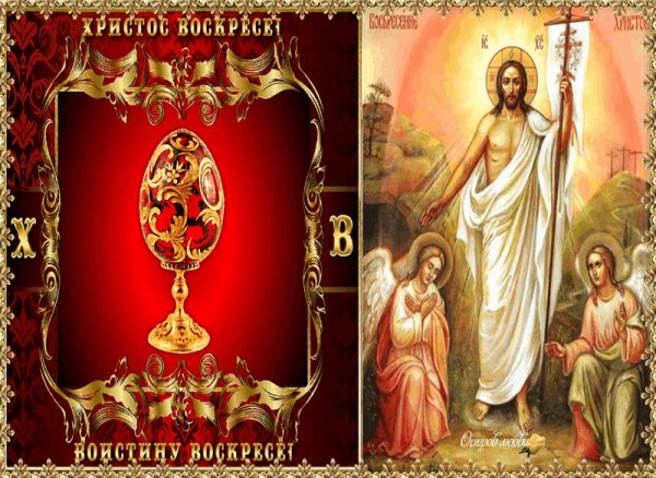 image (5)