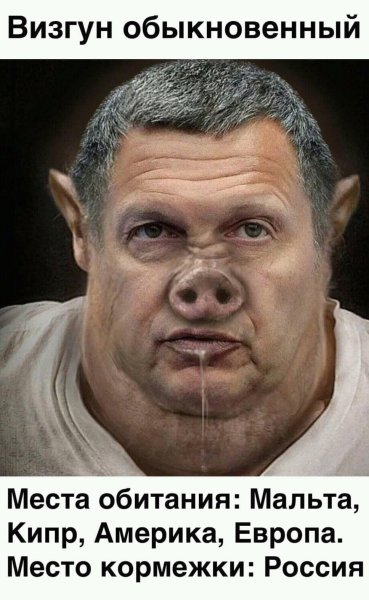 FB IMG 15937760806136960