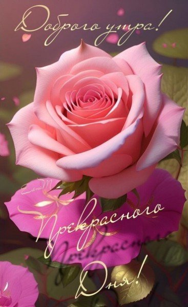 file_95048639