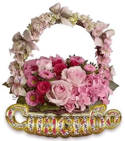 IMG 20200818 085022