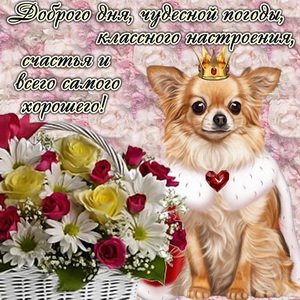 IMG 20190202 041762