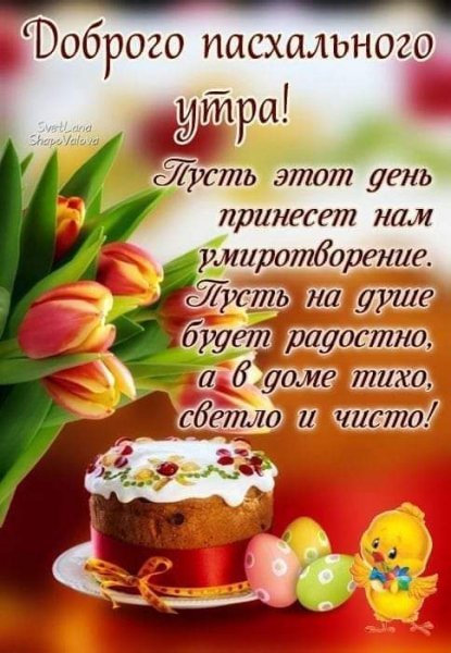 FB IMG 1714884366178