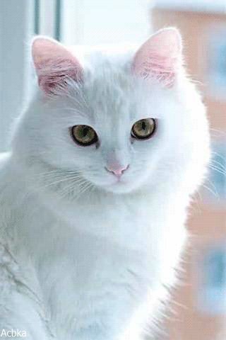 file_76265536