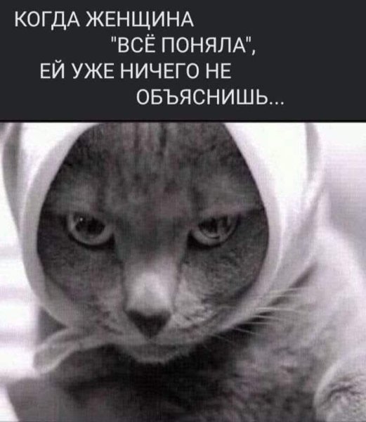 FB IMG 1777725227967
