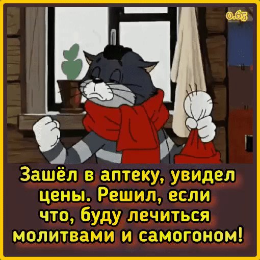 GIF-d5671780d88c9679a9c3c96f6483e2db