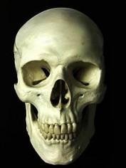 Протоколы сионских мудрецов