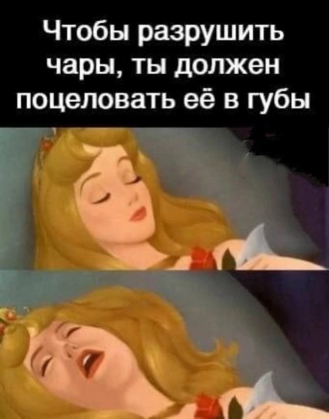 file_94203011