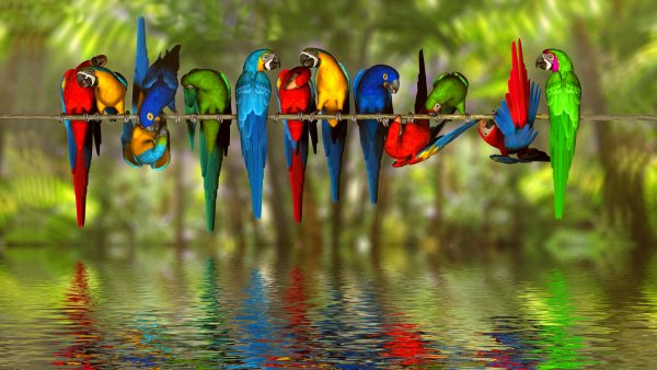 cropped-1920-1080-868825