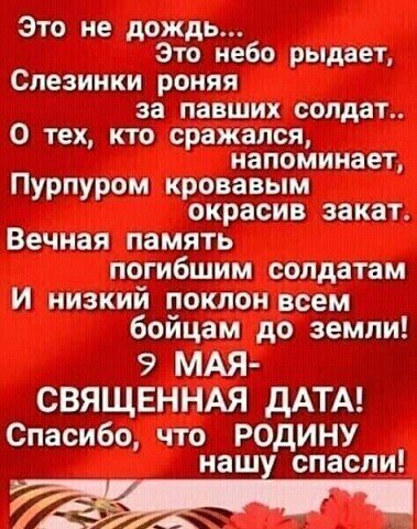image (79)