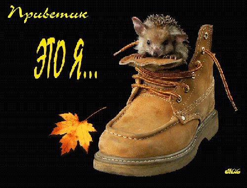 Анимированная открытка приветик это