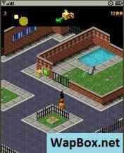 Мадагаскар