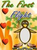 First Flight Nok 240x320