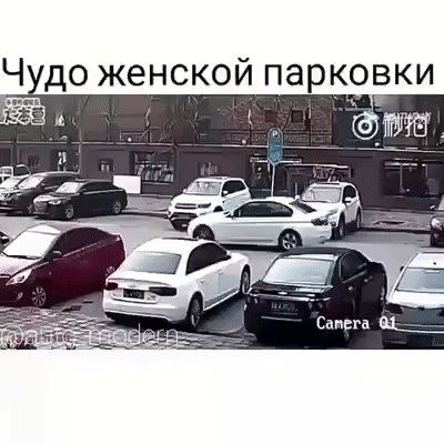 file_92079186