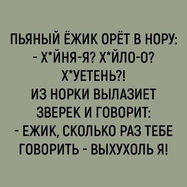 ёжик