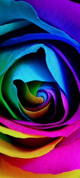 adapted 1080x2408 1773453348