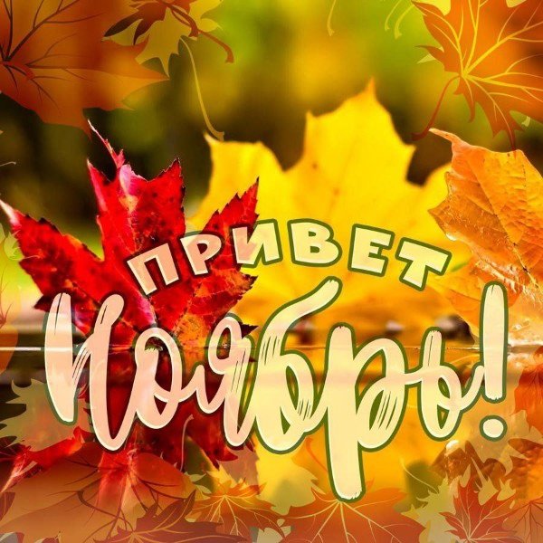 file_94942899