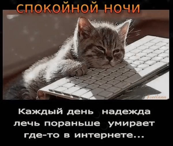 Доброй ночи