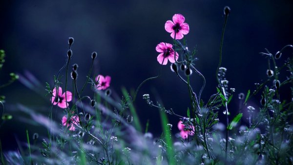 file_72567032