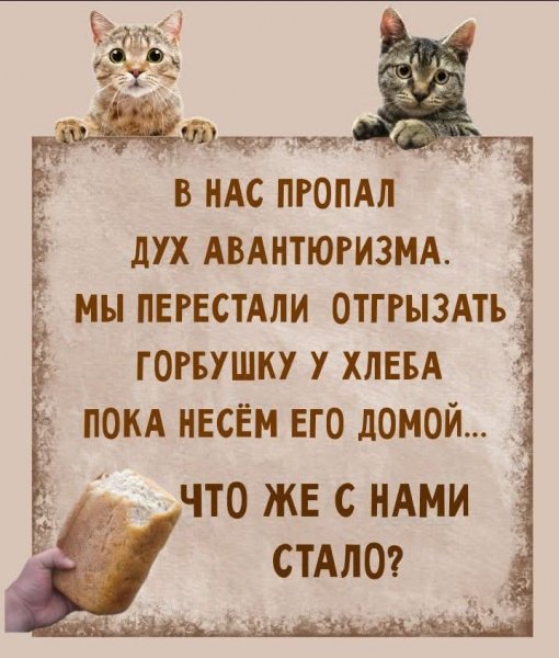 FB IMG 1778268253900