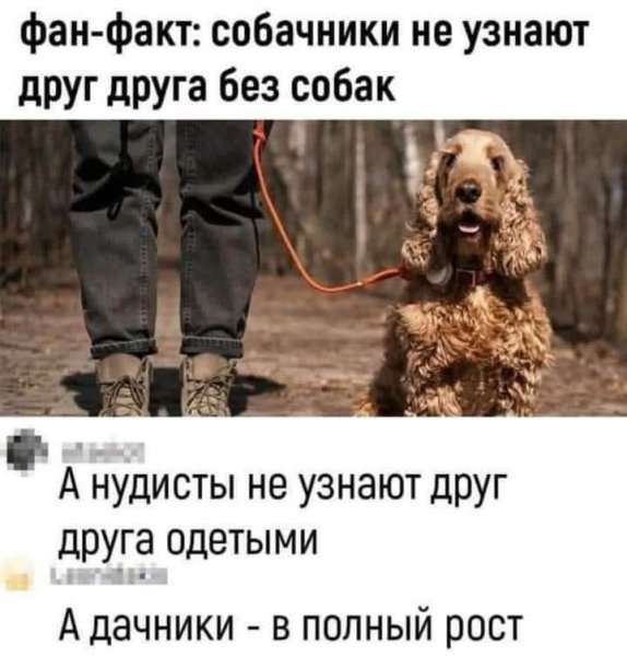 FB IMG 1777226561224