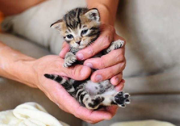 Я маленький ещё