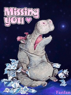Hippopotamus missing you