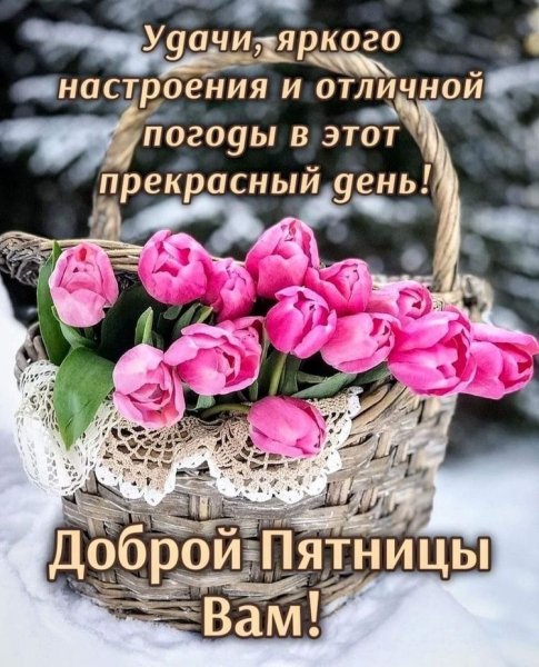 file_93051562