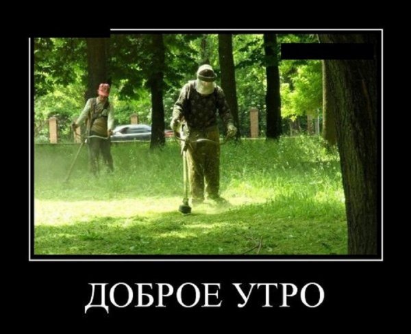 ДОБРОЕ УТРО!